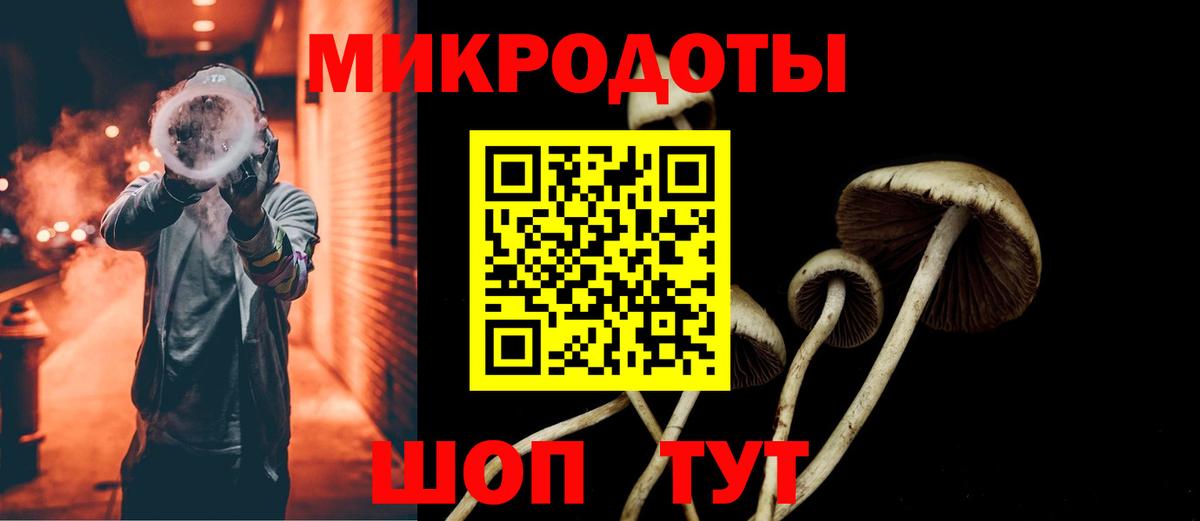 Галлюциногенные грибы Psilocybe Ивантеевка
