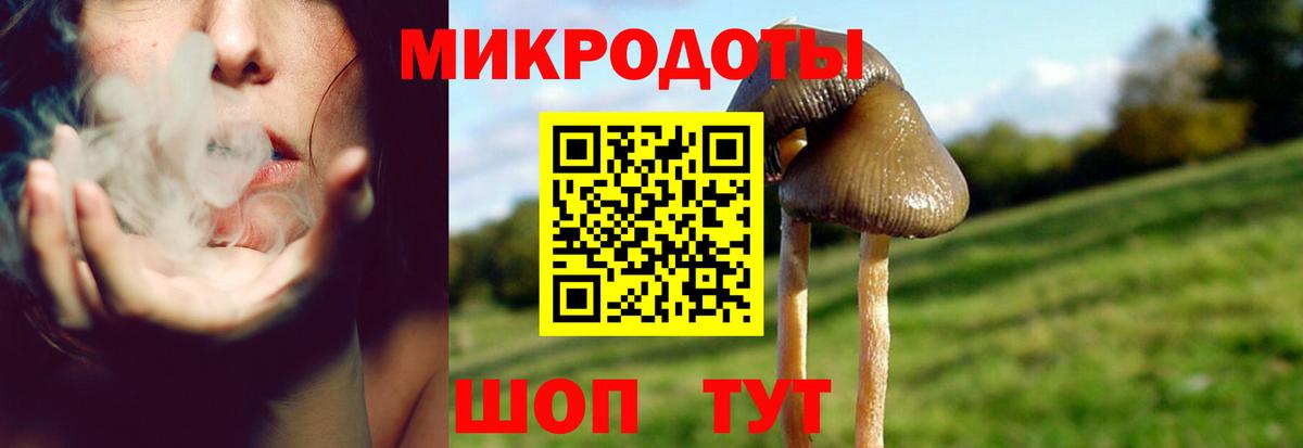Ивантеевка  Галлюциногенные грибы Psilocybine cubensis  Вход с VPN 